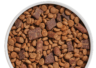 https://openfarmpet.com/cdn/shop/files/OFP-Dog-Dry-Food-Collection-Epic-Blend-Bowl-155x110.png?v=1746115581&width=1200